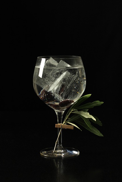 gin-and-tonic-4478215_640