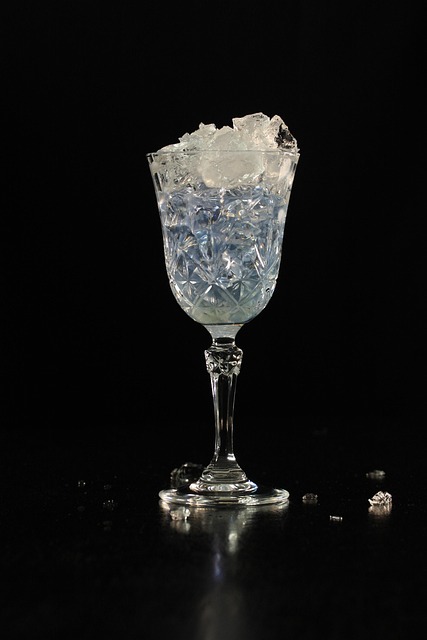 gin-and-tonic-4499681_640