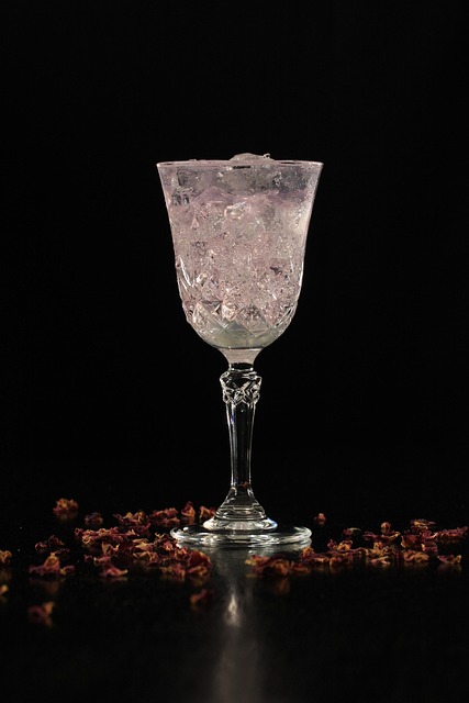 gin-and-tonic-4499685_640