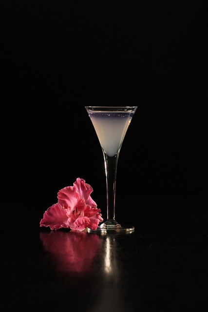 martini-4499700_640